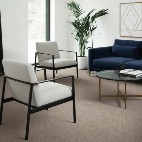Atticus Carpets