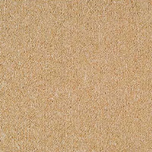 Camel Color Carpers