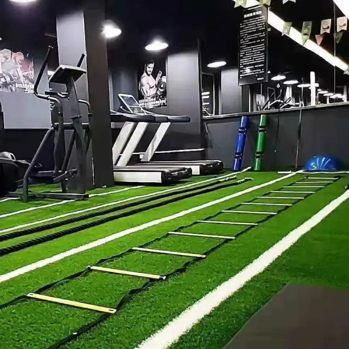 GYM Artificial Grass