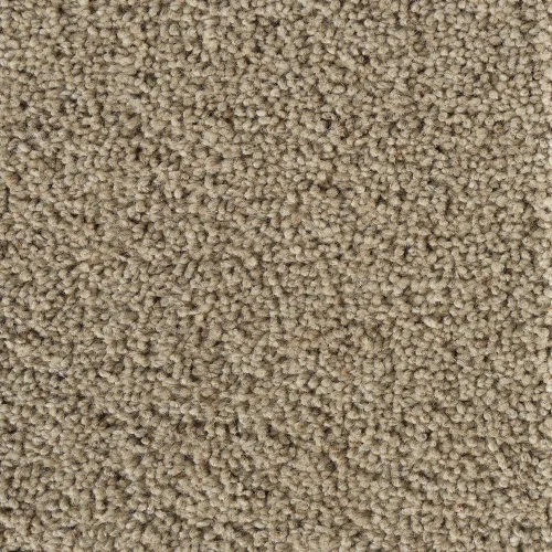 Mushroom sisial carpet